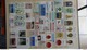 Delcampe - B367 Collection De Timbres D'Allemagne ** Dont Bonnes Petites Valeurs. A Saisir  !!! - Collections (en Albums)