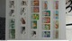 Delcampe - B383 Collection Timbres Oblitérés Du Viet Nam. A Saisir !!! - Collections (en Albums)