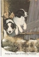 AN 770 , MODERN FANTASY FOLDING CARD  , GREETINGS , FINE ART  , DOGS - Chiens