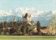 Thun - Thoune - Schloss Mit Blümlisalp - Castle - 8239 - Switzerland - 1977 - Used - Thun