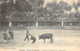 84 VAUCLUSE Simulacre De Corrida Ou Course De Taureaux Aux Arènes De Bagatelle à AVIGNON - Avignon