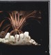 Delcampe - The Coral Reef At Night Par Joseph S..Levine - Andere & Zonder Classificatie