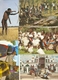 South-Africa / Zuid-Africa : ---- 20 Cards - Afrique Du Sud