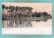 Small Old Post Card Of Palm Wood,Egypt,Africa,S98. - Cairo