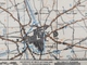 Militaire En Topografische Kaart UK War Office 1943 World War 2 WW2 Ieper Ypres Roeselare Zonnebeke Passendale Langemark - Topographical Maps