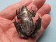 FROG - KIKKER - GRENOUILLE ( Silver / Argent ) Gewicht 55 Gram Total Weight ( Zie / Voir / See >> Foto Voor Détail ) ! - Dieren