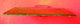 TOP RARE Pierre Loti Gravure Taille Douce Sur Cuivre Rouge Ile De Moorea Afareahitu 1872 Pour Imprimer Livre Polynésie - Estampes & Gravures