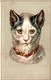 CHROMO FABRIQUE DE CORSETS DAVEZIES A BORDEAUX PORTRAIT DE CHAT - Other & Unclassified