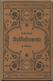 Webers Illustrierte Katechismen - Musikinstrumente 4. Auflage 1882 - 112 Seiten Mit 62 Abbildungen Von F. L. Schubert Ve - Musique