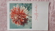 Entier Postal URSS 1961 Fleurs Dahlia - 1960-69