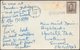 Governors Bush, Near Hermitage, 1948 - Tourist Dept RP Postcard - New Zealand