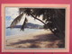 Visuel Pas Très Courant - Antilles Néerlandaises - Saint Martin - Beach Of Philipsburg - Jolis Timbres - Recto Verso - Saint-Martin