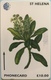 SAINTE-HELENE  -  Cable  § Wireless  -  Melanodendron Integrifolium  -  £10.00 - Isola Sant'Elena