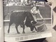 Delcampe - PROGRAMME FIESTA NACIONAL ESPANOLA  Toros Taureaux The Bul-Fight  JAIME ROSELL  Annees 1950 - Programmes