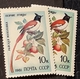 Errors CCCP 1981, MI 5104, Birds With Different  Color Mnh - Abarten & Kuriositäten