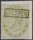 Essai - épreuve Des Planches (émission 1883, Essai De Couleur) Sur Papier Blanc : 20ctm Vert Jaune + SPECIMEN  (NL) - Proofs & Reprints