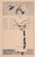 Unsigned Artist Image 'Loves Biplane Messenger' Beautiful Woman, Romance Theme C1910s Vintage Postcard - 1900-1949