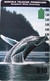 ILE NORFOLK  -  Phonecard  -  " Tamura " -  Humpback Whale Breaching  -  $10 - Isla Norfolk