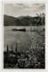 C.P  PICCOLA    PANORAMA  DA  IDENTIFICARE   LAGO MAGGIORE?      2  SCAN  (NUOVA) - Da Identificare