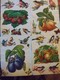 Lot De 101 Chromos Collés Sur Papier.Fleurs Fruits Et Oiseaux. - Fleurs