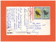 1978 ST. LUCIA HALCYON DAYS HOTEL AIR MAIL POSTCARD WITH 2 BIRD STAMPS TO SWISS - St.Lucia (1979-...)