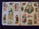 Lot De 95 Chromos Collés Sur Papier.Fleurs Fruits Et Divers. - Fleurs