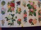 Delcampe - Lot De 95 Chromos Collés Sur Papier.Fleurs Fruits Et Divers. - Fleurs