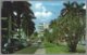 CP FF-606- Via Argentina,Residential Section Of El Cangrejo, Panama City. Unused - Panama