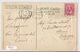 P 653,  OLD  FANTASY POSTCARD  , GREETINGS , PENSEE ,  A Bright New Year - Autres & Non Classés