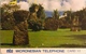 MICRONESIE  -  Phonecard  - " Tamura " -  Mtc 10 - Micronésie