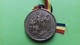 Romania, Roumanie, Rumanien - Medalie Sibiu Hermanstadt 1884 Lansarea Cotidianului Tribuna - Altri & Non Classificati