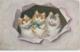 Chat - Cat - Kat - Katze - Sperlich W.S.S.B. 6979 - 1928 - Chats