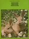 ZORG ZELF VOOR JE KONIJN - TINA HEARNE - DIERENBESCHERMING NEDERLAND 1981 - Sachbücher