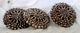 BOUTON  : Lot De 3 BOUTONS ANCIENS ,  XIX ° En Perles Metalliques , 25 Mm LOT OF 3 OLD BUTTONS IRON PEARLS Ca 1880 - Boutons