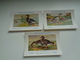 Beau Lot De 9 Cartes Postales Oiseaux  Oiseau  Illustrateur H.Dupond     Mooi Lot Van 9 Postkaarten Van Vogels  Vogel - 5 - 99 Cartes