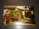 TRINIDAD ET TOBAGO  CARTE POSTALE ECRITE ET TIMBREE DE PORT OF SPAIN   VENDEUR DE NOIX DE COCO - Trinidad