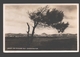 Schoorl - Groet, De Eenzame B.h. Eendenwater - Fotokaart C. Oldenburg, Schoorl - Schoorl