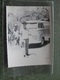 PHOTO 11,6 X 6,6 - VW Camionette - Voitures De Tourisme