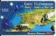 CARTE PREPAYEE-100F-CENTRAL TELECOM-MOBILE FRANCE  DOM TOM-Exp 30/06/2001-V° Cadre Rge-Gratté-Plastic Epais-T BE - Autres & Non Classés