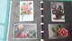 TH	LOT DE 16 CARTES  DE FLEURS 	N° DE CASIER 	492	CIRCULE - Fleurs