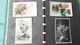 TH	LOT DE 16 CARTES  DE FLEURS 	N° DE CASIER 	494	CIRCULE - Fleurs