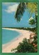 Saint Martin (Guadeloupe) - Long Beach St Martin CPM Année 1981  Edit Hachette  Antilles - Saint Martin