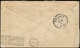 O Palmiers - Entiers Postaux - (1893), Usa, Enveloppe 5c. Bleu Colombus: "California Midwinneer Int. Expo". 2 Palmiers - Arbres