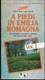 A PIEDI IN EMILIA ROMAGNA -VOL. 1- 132 PASSEGGIATE,ESCURSIONI E TREKKING -EDIZ ITER 1989 -PAG. 270 -FORMATO 11X20 -USATO - Turismo, Viajes