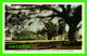 TRINIDAD - VIEW FROM FRONT PORCH OF THE TRINIDAD COUNTRY CLUB, GIANT SAMAN TREE - PUB, BY QUEEN'S PARK HOTEL CO LTD - - Trinidad