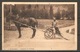 Carte P De 1908 ( Transport Du Fromage ) - Port