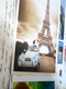 AUTO CAR CITROEN 2 CV PARIS  STAMP FONDAZIONE SOCIETA' OFTALMOLOGICA 2019 B ISOLATO  VB2019 HL5349 - Turismo