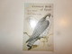 Common Birds Of Egypt Par Bruun, 1985, - Andere & Zonder Classificatie