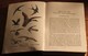 Delcampe - Rare Livre 1936 En Anglais Illustré Birds Of The Wayside And Woodland Oiseaux Avec Illustrations - 1900-1949