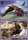 Kazakhstan 2019.  Maxicard (Maximum Cards). Europe. Europa - CEPT. National Birds. Golden Eagle. - Kasachstan